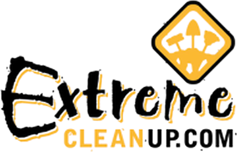 Extreme Cleanup